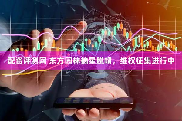 配资评测网 东方园林摘星脱帽，维权征集进行中