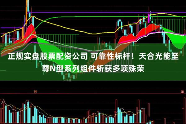 正规实盘股票配资公司 可靠性标杆！天合光能至尊N型系列组件斩获多项殊荣